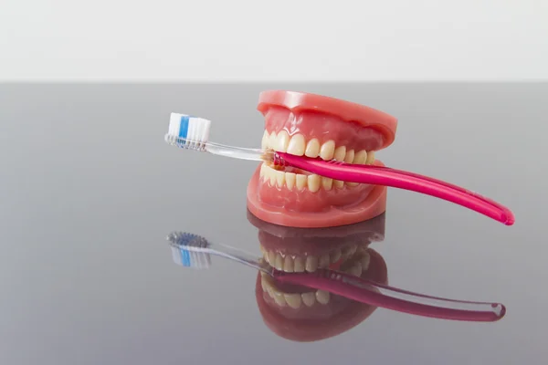 Set di falsi denti artificiali — Foto Stock