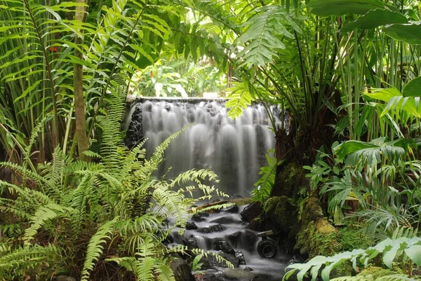 Rio termal en la reserva natural de las Termas de Tabacon, en Costa Rica. Las aguas calientes provienen del interior del Volcan Arenal.