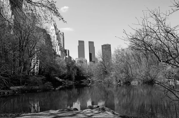 Vista Central Park Manhattan Nueva York Blanco Negro — Φωτογραφία Αρχείου
