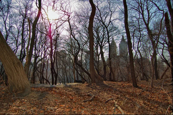 Vistas Manhattan Nueva York Park Centralny — Zdjęcie stockowe