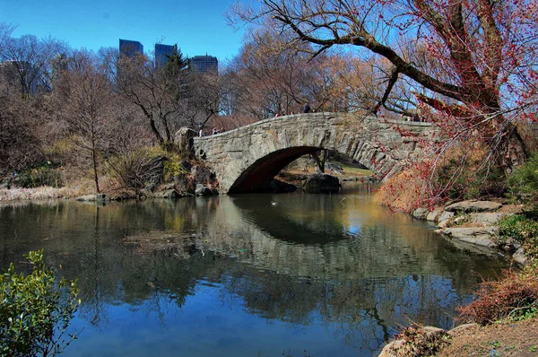 Vistas Manhattan Nueva York Central Park — Stock Photo, Image