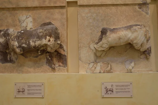 Museo Arqueologico de Delfos, en Grecia (Archaeological Museum of Delphi, Greece). Antiguos objetos, estatuas, esculturas y frisos griegos y romanos encontrados en las ruinas de la antigua Delfos.