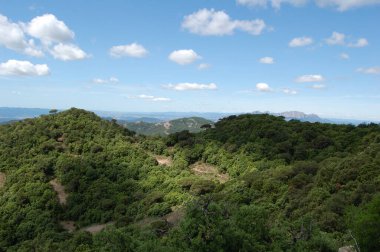 Panorama de los montes y los bosques de La Mola, en Catalua. Montanya de Montserrat. Catalunya, Bages, Barcelona. Katalonya 'daki La Mola ormanlarının ve dağların manzarası. Montserrat Dağı.