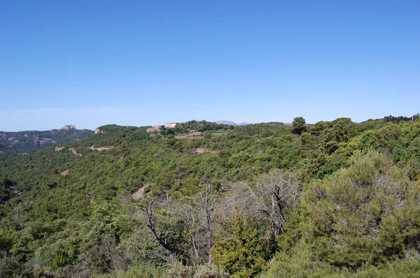 Panorama Los Montes Los Bosques Mola Catalunya Catalunya Bages Barcelona — Stock Fotó