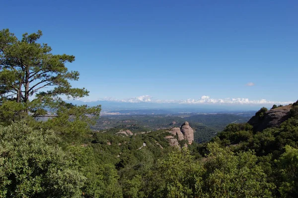 Panorama Los Montes Los Bosques Mola Jalá Vista Montserrat Catalunya — Foto de Stock