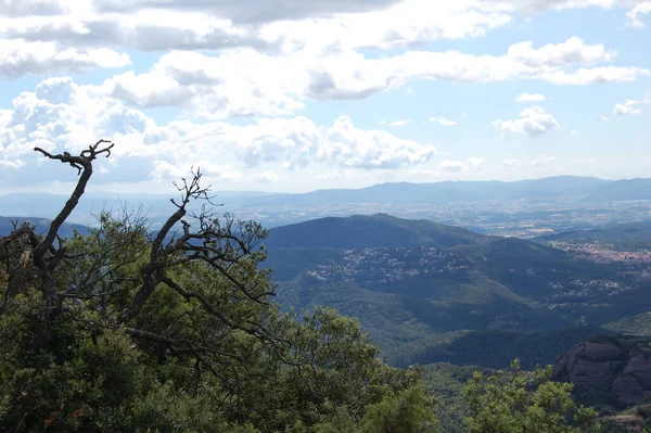 Panorama Los Montes Los Bosques Mola Catalua Catalunya Bages Barcelona — Stockfoto