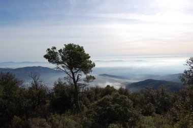 Panorama de los montes y los bosques de La Mola, en Catalunya, Cerca de Montserrat. - Evet. La Mola 'nın dağlarının ve ormanlarının manzarası, Katalonya' da, Montserrat 'ın yanında. Katalunya, El Valles, Barselona.