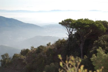 Panorama de los montes y los bosques de La Mola, en Catalunya, Cerca de Montserrat. - Evet. La Mola 'nın dağlarının ve ormanlarının manzarası, Katalonya' da, Montserrat 'ın yanında. Katalunya, El Valles, Barselona.