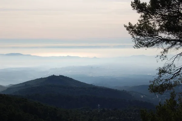 パノラマDe Los Montes Los Bosques Mola Catalunya Cerca Montserrat カタルーニャ州のラ — ストック写真