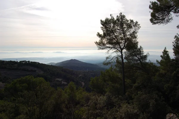 パノラマDe Los Montes Los Bosques Mola Catalunya Cerca Montserrat カタルーニャ州のラ — ストック写真