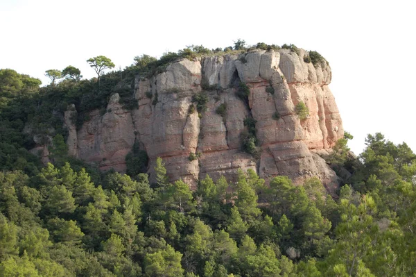 Panorama Los Montes Los Bosques Mola Catalunya Cerca Montserrat Панорама — стокове фото