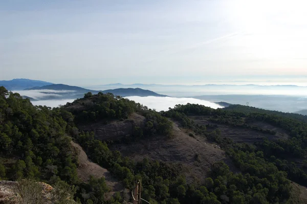 パノラマDe Los Montes Los Bosques Mola Catalunya Cerca Montserrat そうだ — ストック写真