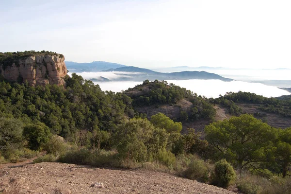 Panorama Los Montes Los Bosques Mola Catalunya Cerca Montserrat 是的4 — 图库照片