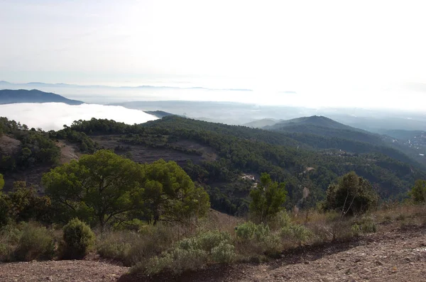 Panorama Los Montes Los Bosques Mola Catalunya Cerca Montserrat Panorama — Stockfoto