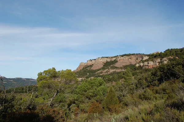 Panorama Los Montes Los Bosques Mola Catalunya Cerca Montserrat Panorama — Foto de Stock