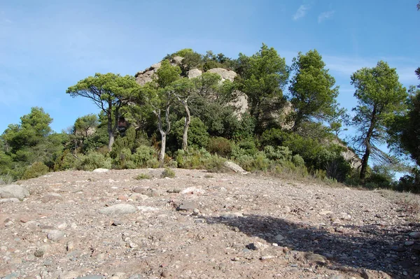 Panorama Los Montes Los Bosques Mola Catalunya Cerca Montserrat Πανόραμα — Φωτογραφία Αρχείου