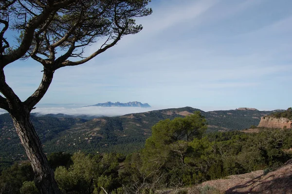 Panorama Los Montes Los Bosques Mola Catalunya Cerca Montserrat Jestem — Zdjęcie stockowe