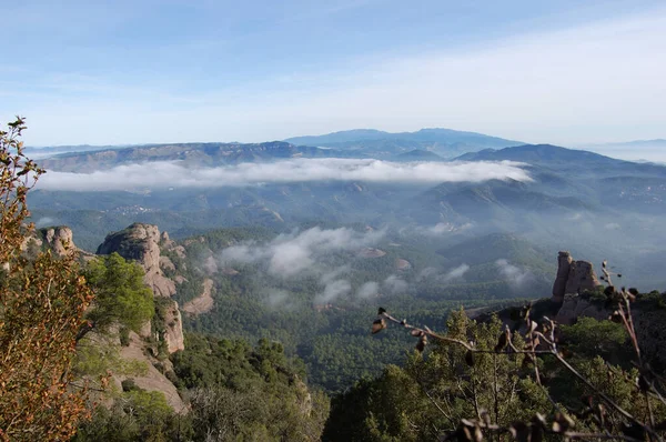 Panorama Los Montes Los Bosques Mola Catalunya Cerca Montserrat Panorama — Photo