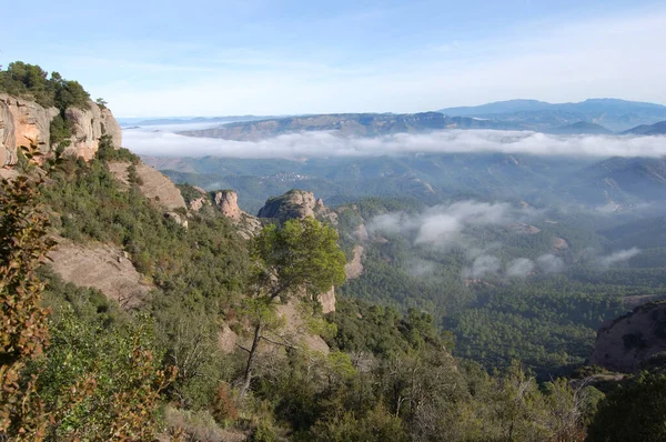 Panorama Los Montes Los Bosques Mola Catalunya Cerca Montserrat Panorama — Stock fotografie