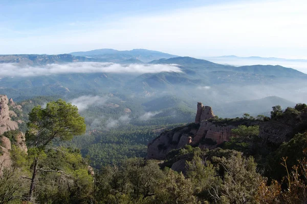 Panorama Los Montes Los Bosques Mola Catalunya Cerca Montserrat 是的4 — 图库照片