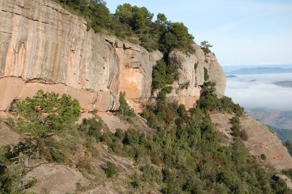 Panorama Los Montes Los Bosques Mola Catalunya Cerca Montserrat 是的4 — 图库照片