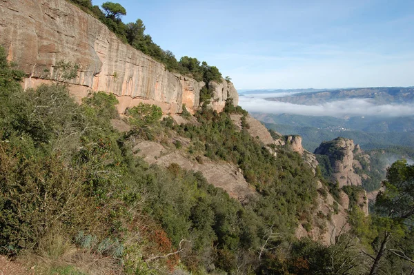 パノラマDe Los Montes Los Bosques Mola Catalunya Cerca Montserrat そうだ — ストック写真