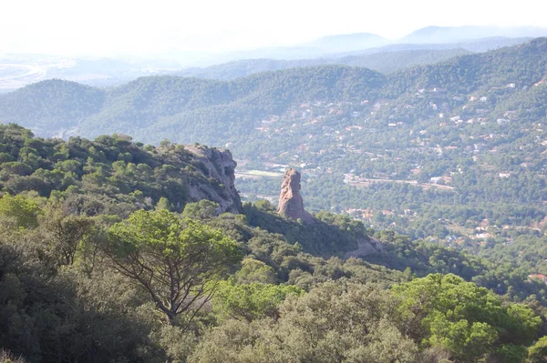 Panorama Los Montes Los Bosques Mola Catalunya Cerca Montserrat Panorama — Photo