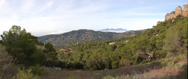 Panorama Los Montes Los Bosques Mola Catalunya Cerca Montserrat Панорама — стокове фото