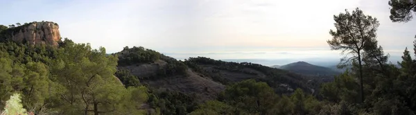 Panorama Los Montes Los Bosques Mola Catalunya Cerca Montserrat Панорама — стокове фото