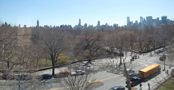 Widok Najbardziej Charakterystyczne Budynki Wieżowce Manhattanu Nowy Jork Centralny Park — Zdjęcie stockowe