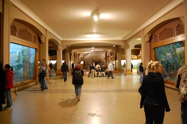 New York 'taki Amerikan Doğa Tarihi Müzesi. Mineraller, meteorlar, fosiller, diyoramalar.