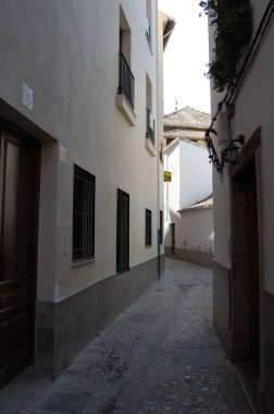 Granada 'nın en simgesel caddelerinin ve tarihi binalarının manzarası (Endülüs, İspanya).