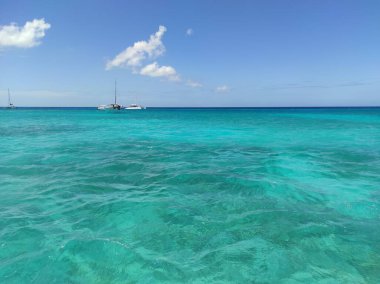 Karayip Denizi 'ndeki plaj. Punta Cana. Saona Adası