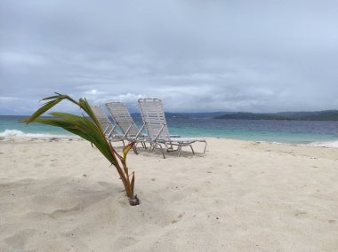 Karayip Denizi 'ndeki plaj. Punta Cana. Saona Adası