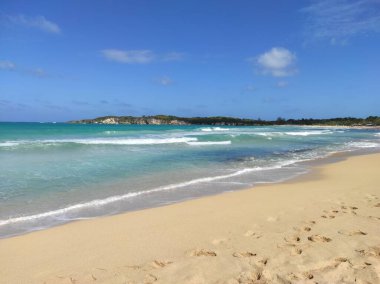 Karayip Denizi 'ndeki plaj. Punta Cana. Saona Adası