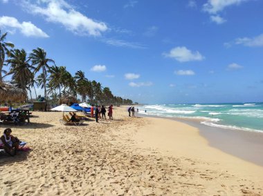 Karayip Denizi 'ndeki plaj. Punta Cana. Saona Adası