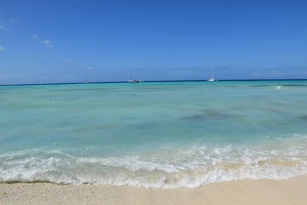Karayip Denizi 'ndeki plaj. Punta Cana. Saona Adası