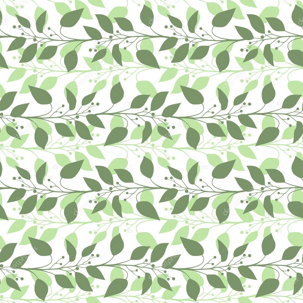 Seamless pattern branches and leaves of Camphor laurel. Floral background. Vector