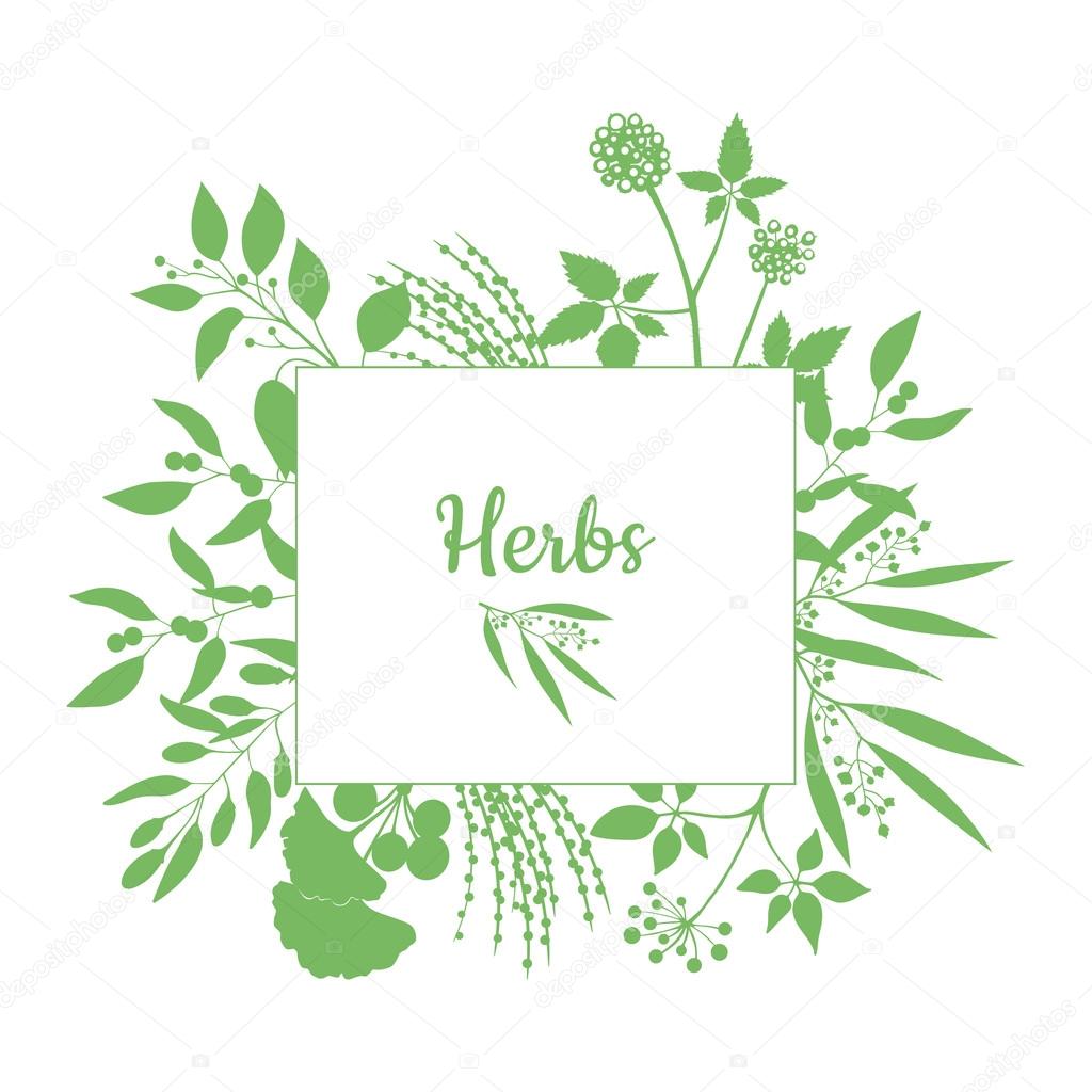 Fresh herbs store emblem. Green square frame with collection of plants. Silhouette of branches isolated on white background