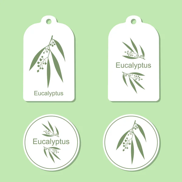 Silhouette of Eucalyptus with leaves.  Medicinal plant. Healthy lifestyle. Vector  Illustration. Health and Nature Set of Tags and Labels — Stock Vector