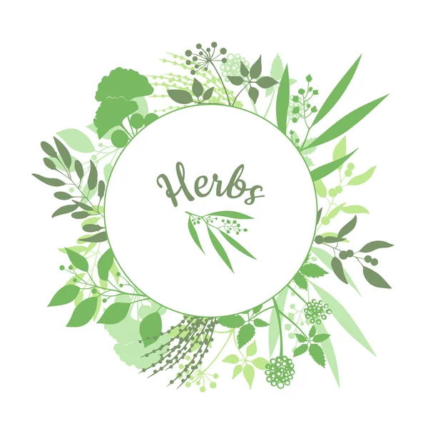 Groene ronde frame met collectie van planten — Stockvector