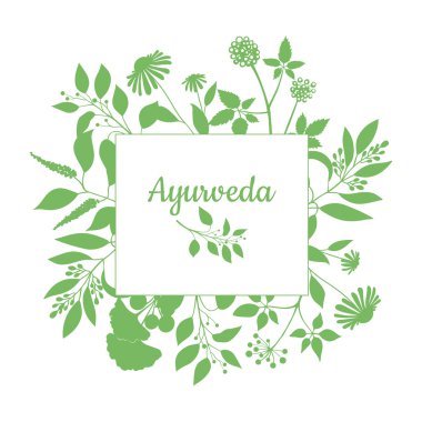 Yeşil kare çerçeve ayurveda bitkiler koleksiyonu ile. Beyaz arka plan üzerinde izole dalları silüeti