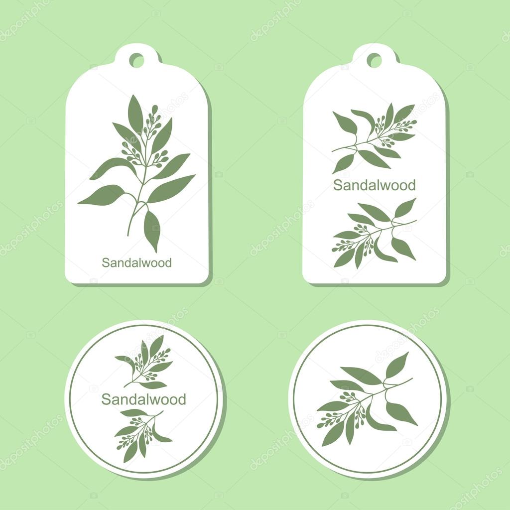 Sandalwood tree branch with flowers silhouette. Vector Illustration. Health and Nature Set of Tags and Labels
