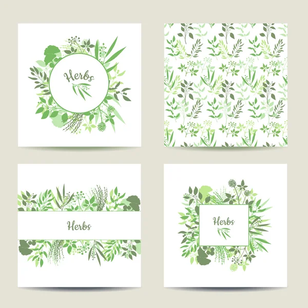 Conjunto de cuatro plantillas de tarjetas herbales . — Vector de stock