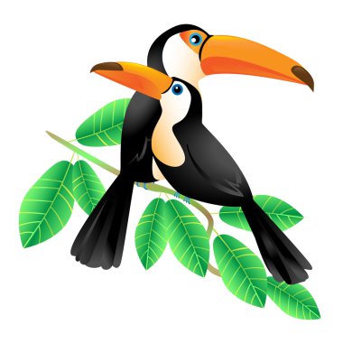 Bir dal üzerinde oturan iki Toucans