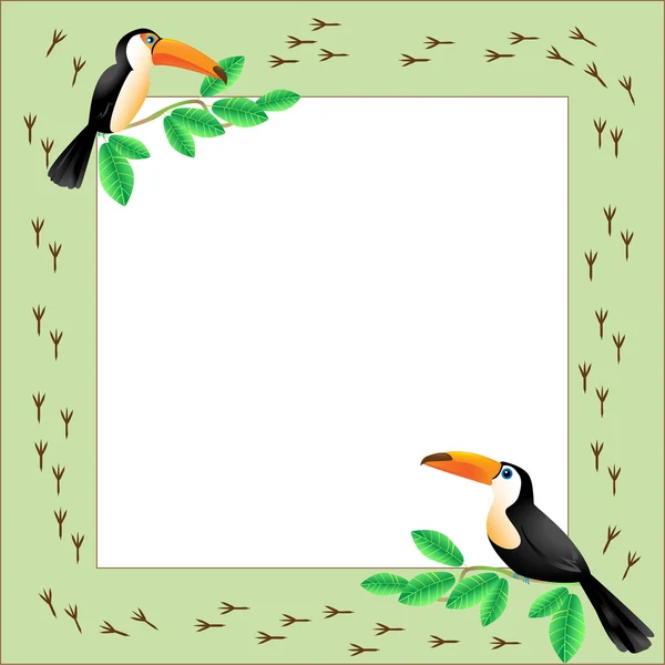 Frame with toucans — Stock Vector
