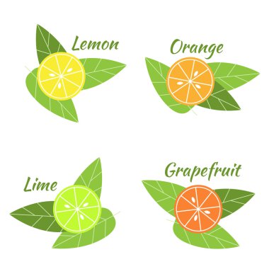 Narenciye meyve portakal, limon, greyfurt ve limon
