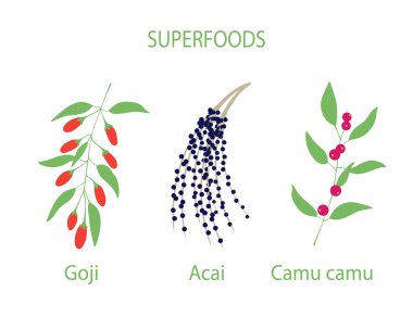 Camu camu, goji ve acai çizimi