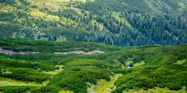 Karpat Dağları manzarası