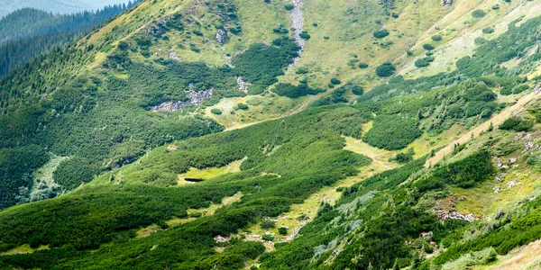 Paysage des montagnes des Carpates Images De Stock Libres De Droits